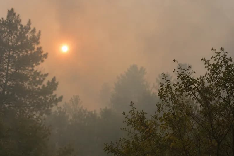 How Is The Air Quality Index Calculated? The Formula Explained