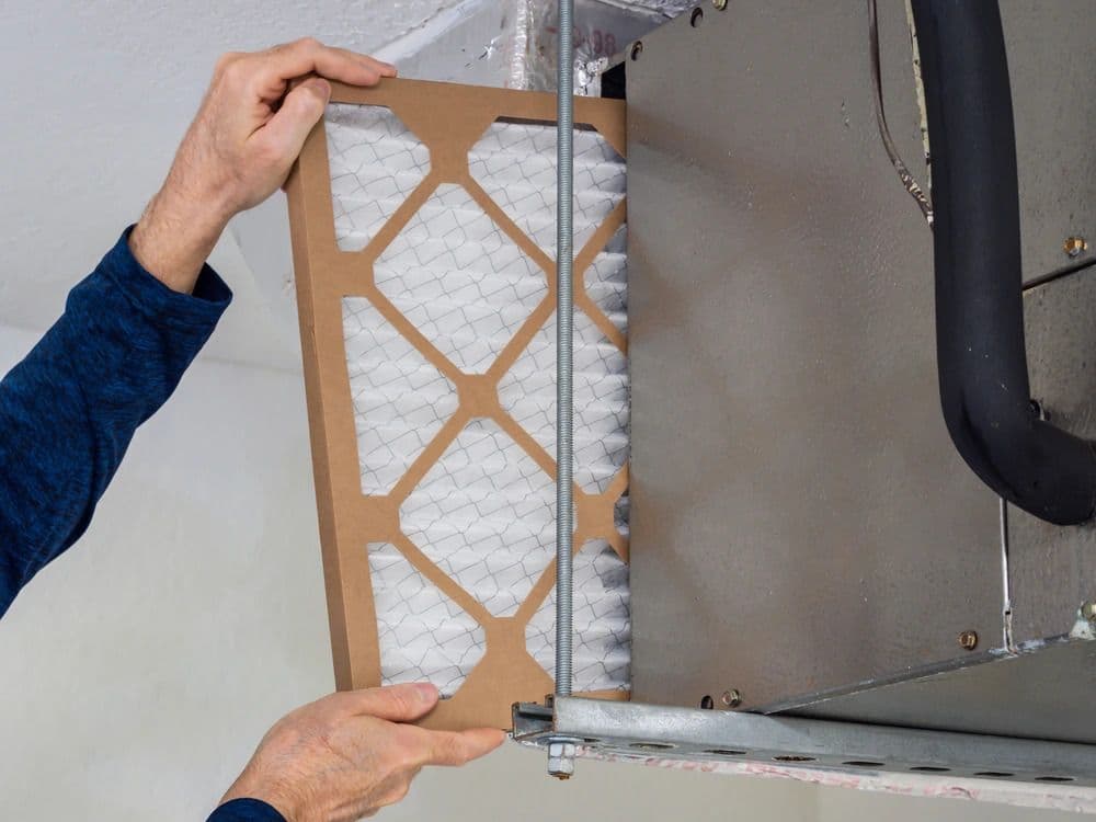 Best Air Filters for Immune-Compromised Households