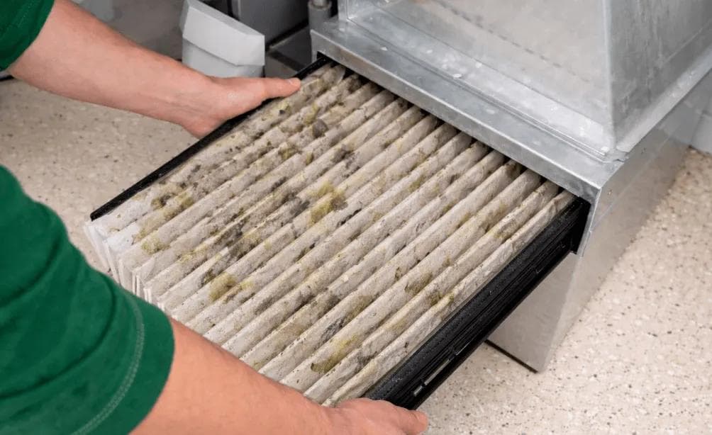 Why Your Furnace Filter Is Wet (Or Freezing) in Winter