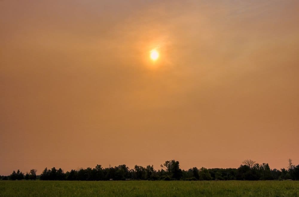 Can Wildfire Smoke Cause Allergies?
