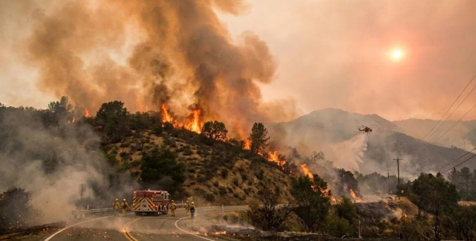 Why Are Wildfires Common in California? CA Wildfires History, Facts & Causes