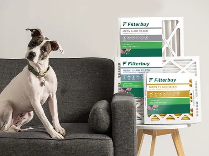 Most and Least Dander Producing Pets